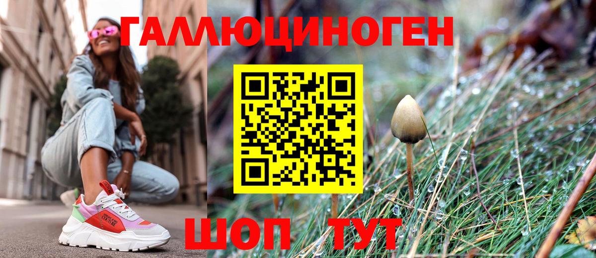 Псилоцибиновые грибы мицелий Жуковский